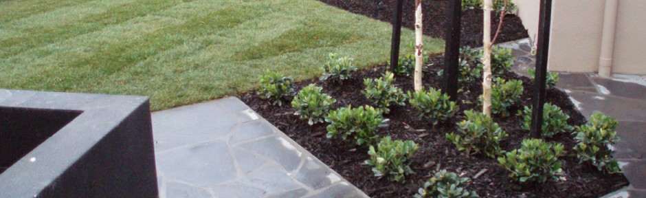 Botanic Resources garden project